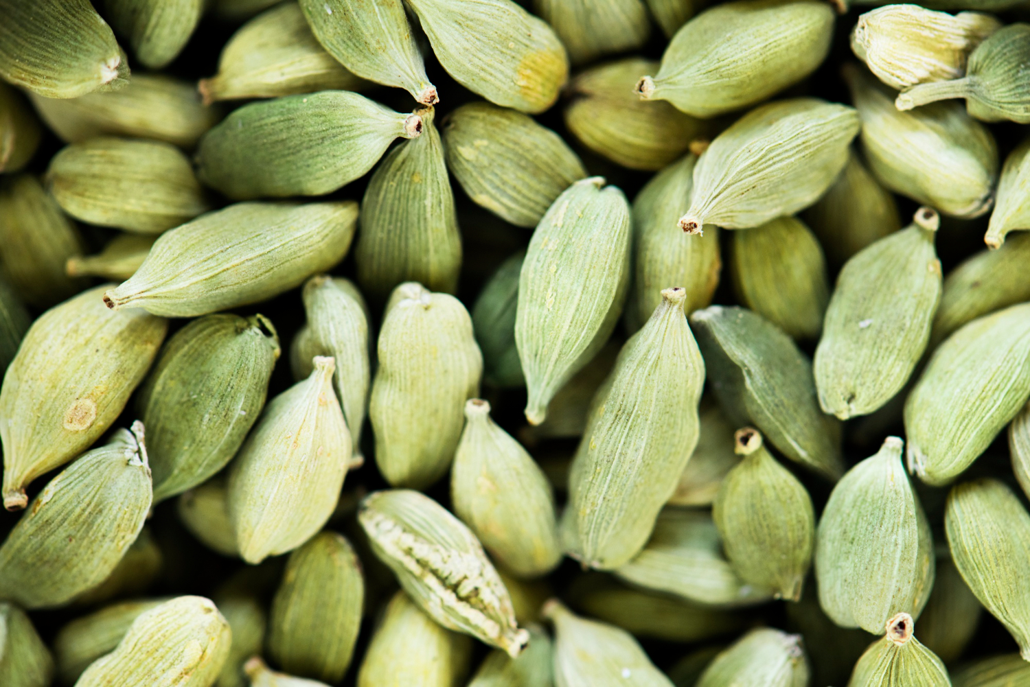 Cardamom Spice