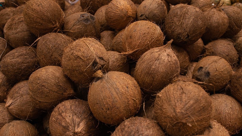 Coconut