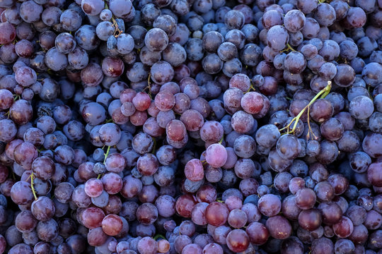 Grapes