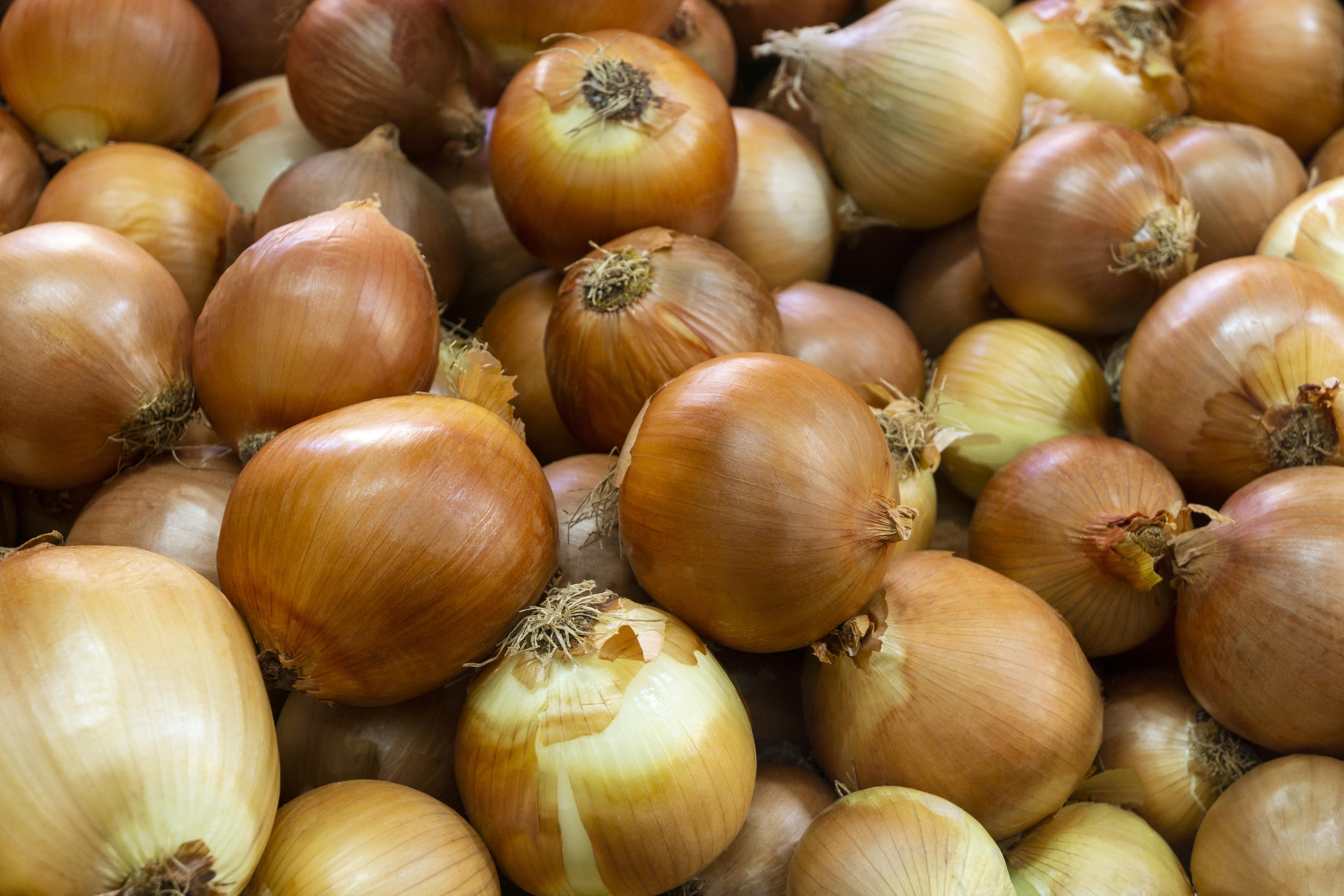 Onion