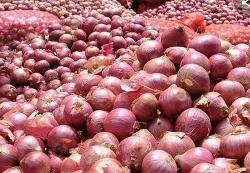 Onion