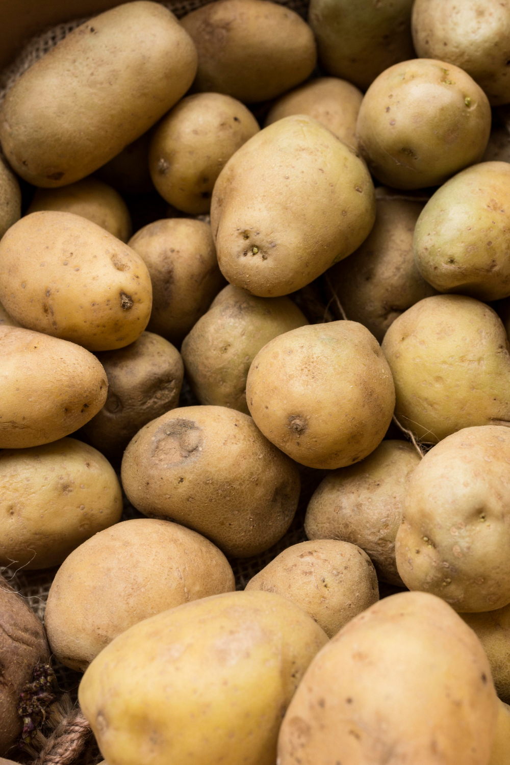 Fresh Potatoes